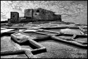 Martin Attard photograph Salt Pans Gozo.jpg